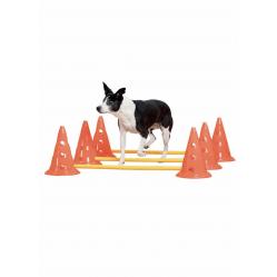 PAWISE - Agility Training Set 30Cm - 6369010 - Pet Supplies