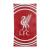 Bath towel Liverpool 85042 Baby and Children