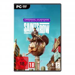 Saints Row Criminal Customs Edition DE-Multi in Game - PC