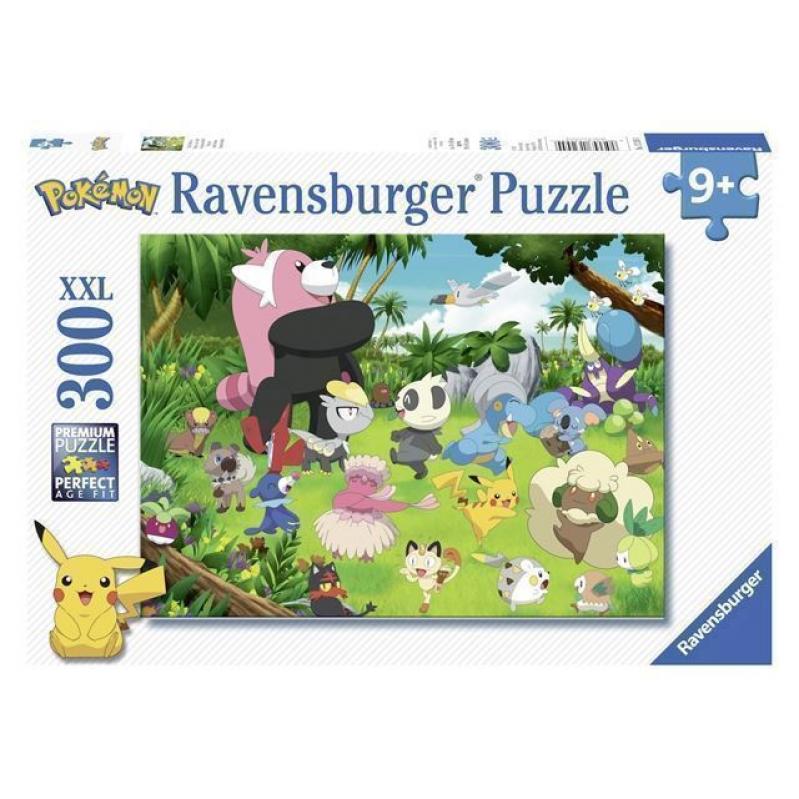 Pokemon Puzzle - Pokemon Types 300 Pieces 10113245 - Toys