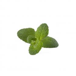 Click and Grow - Smart Garden Refill 3-pack - Apple Mint (SGR79X3) - Home and Kitchen