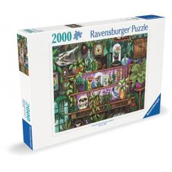 Ravensburger - A Witchs Favorite Things 2000p - 12001416 - Toys