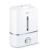 Beurer LB 45 Humidifier 3 Years Warranty Home and Kitchen