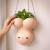 Willy Planter - Gadgets
