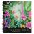 Craft ID - Colouring book - 30 designs - Flowers (CR5027/GE) - Toys