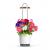 Click and Grow - HydroVase - White - Home and Kitchen