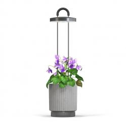 Click and Grow - HydroVase - Grey - Home and Kitchen