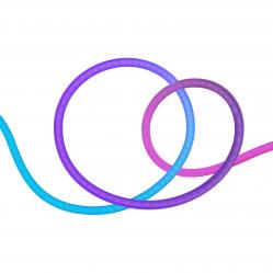 Hombli - Smart Neon Tube - 5m RGBIC - Electronics