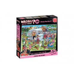 Wasgij Destiny 29 - Pitch Perfect! (1000 - Toys