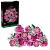 LEGO - Botanicals - Bouquet of Pink Roses (10374) - Toys