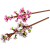 LEGO - Botanicals - Cherry Blossoms (40725) - Toys
