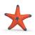 Schleich - Starfish with color change (14902) - Toys