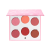 OFRA Cosmetics - Mini Mix Palette - Charm Your Cheeks - 16g - Beauty