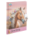 Moxy - Horse secret diary with key & lock A5, 60 sheets (190008) - Toys