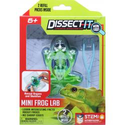 Sensory Compounds - Frog In Giftbox (12-38083) - Toys