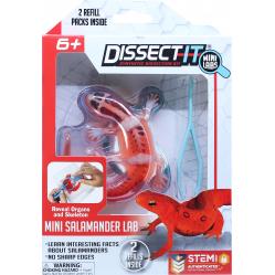 Sensory Compounds - Salamander In Giftbox (12-38085) - Toys