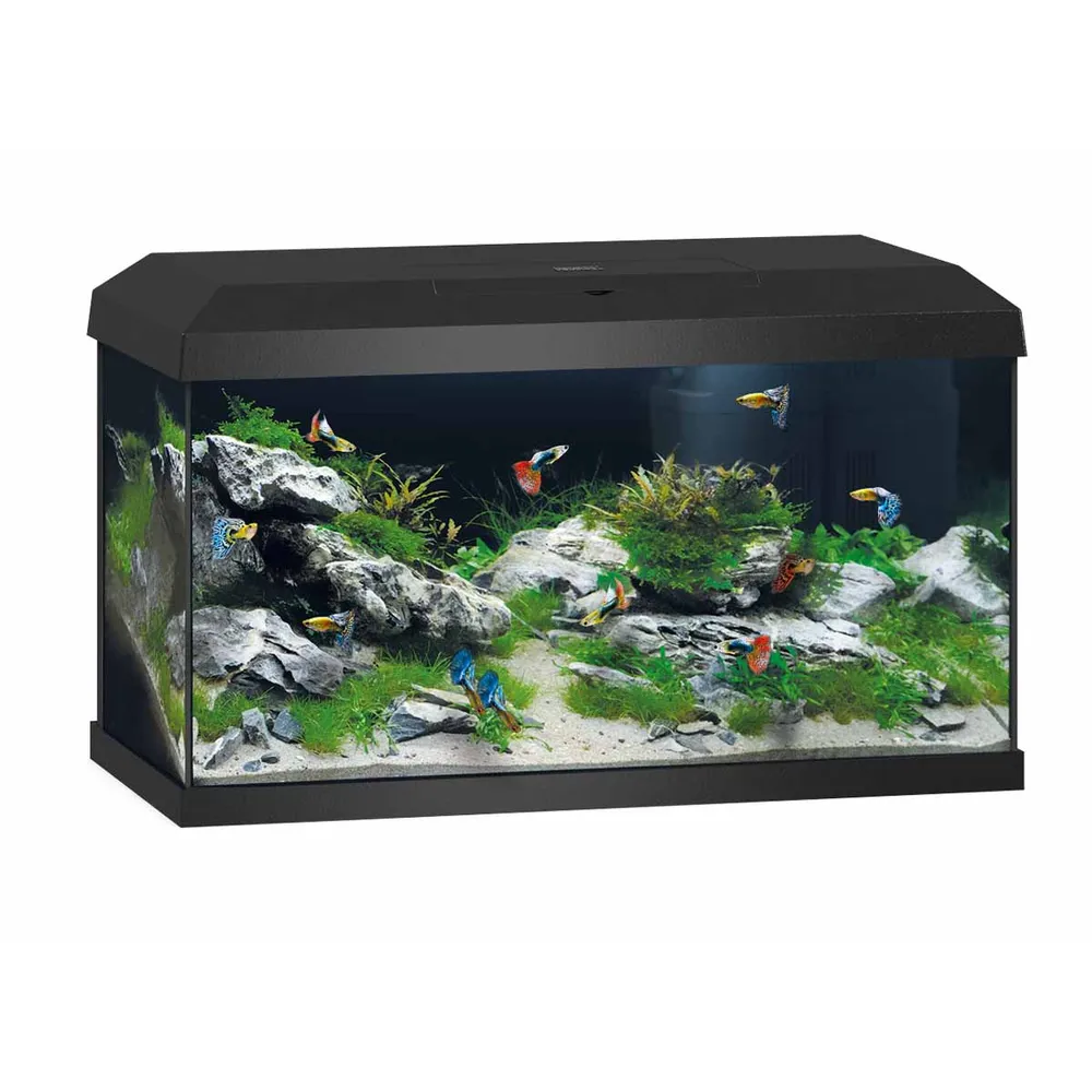 Juwel - Aquarium starter Primo 60 Black 2.0  LED 61x31x37cm - 60ltr - Pet Supplies