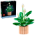 LEGO - Botanicals - Peace Lily (11504) - Toys
