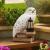 Harry Potter - Hedwig Gnome Light - Fan Shop and Merchandise
