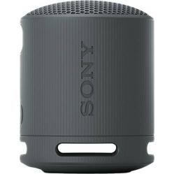 Sony - SRS-XB100 portable Bluetooth speaker - Electronics