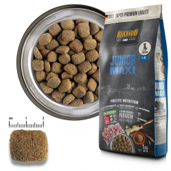 Belcando - Junior Maxi - 12.5kg - Pet Supplies