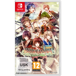 Birushana: Winds of Fate - Nintendo Switch