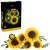 LEGO - Botanicals - Sunflower Bouquet (11502) - Toys