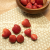 Wrappy Mix Pack, 3 pcs sheets (S/M/L), beeswax -  W05-003-005 - Home and Kitchen