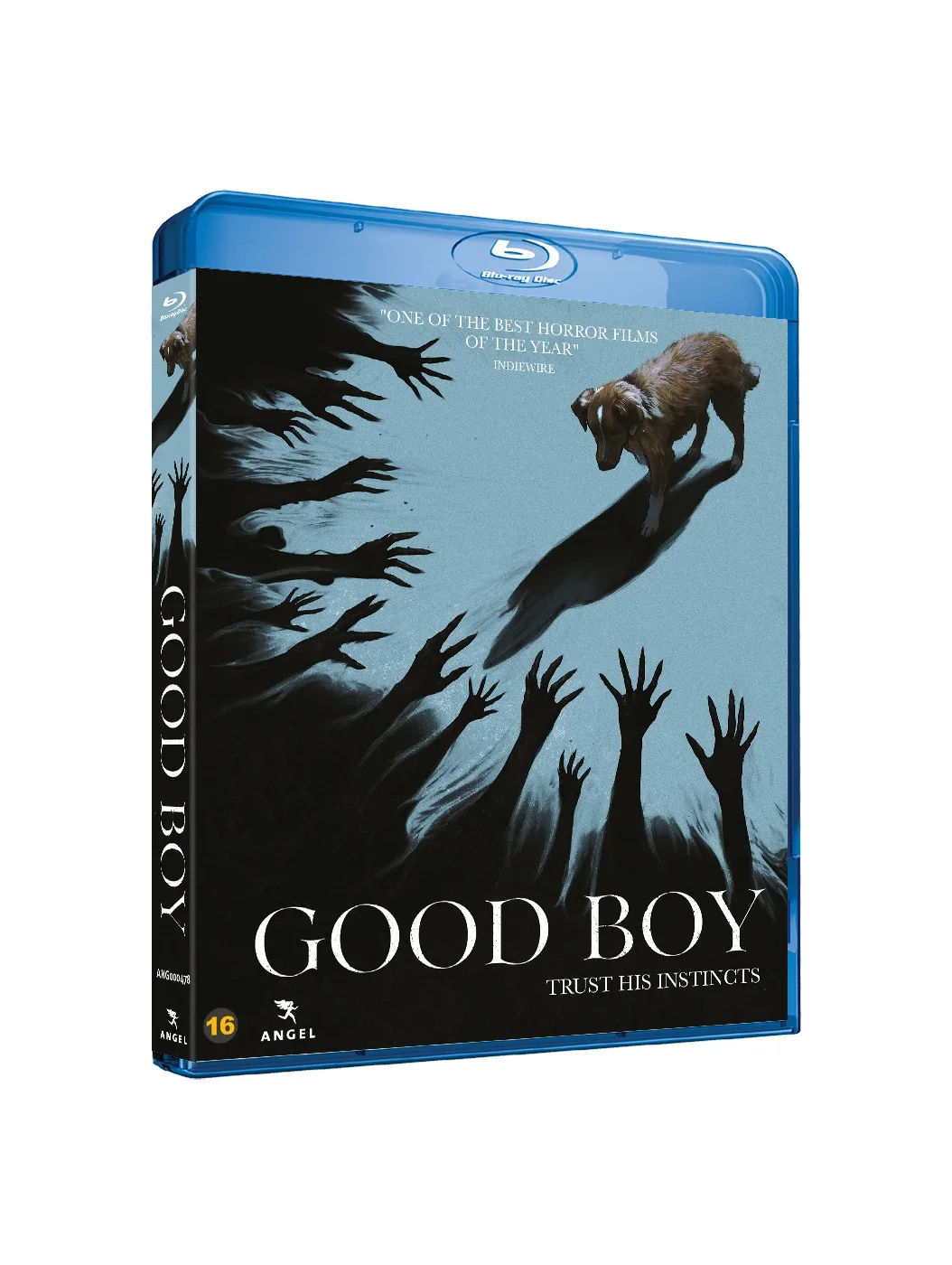 GOOD BOY - (Blu-Ray) - Movies and TV Shows