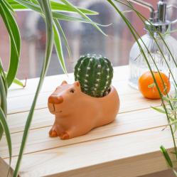 Kikkerland - Cappy the Capybara Planter Small - 4.5" x 2.5" x 2.5" - Home and Kitchen