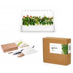 Click And Grow - Smart Garden 9 Starter Kit + Calming Tea Mix + Gardening Accessories Kit – Bundle - Home and Kitchen
