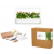 Click And Grow - Smart Garden 9 Starter Kit + Calming Tea Mix + Gardening Accessories Kit – Bundle - Home and Kitchen