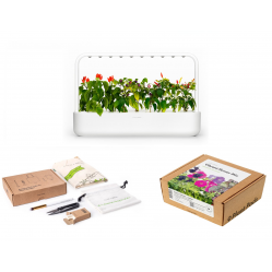 Click And Grow Smart Garden 9 + Vibrant Flower Mix + Accessories Kit (White) – Bundle - Home and Kitchen