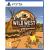 Wild West Shooter - PlayStation 5