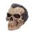 Nemesis - Hall Of Horrors - Dracula Skull - Fan Shop and Merchandise