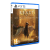 Beast of Reincarnation - PlayStation 5