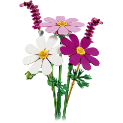 LEGO - Botanicals - Cosmos Flowers (11514) - Toys
