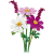LEGO - Botanicals - Cosmos Flowers (11514) - Toys