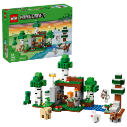 LEGO - Minecraft - First Night Adventure (21593) - Toys