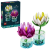 LEGO - Botanicals - Water Lilies (11511) - Toys