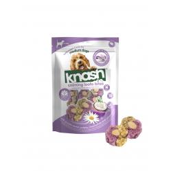 Knash - WL Bites - Pumpkin/Ginger - 100gr - Pet Supplies