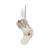 Lord of the Rings - Gandalf the White Stocking Hanging Ornament - Fan Shop and Merchandise