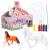Miss Melody - Colour your Horse (0012247) - Toys