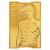 Metal Gear Solid 2 - 24K Gold Plated Raiden Ingot - Fan Shop and Merchandise