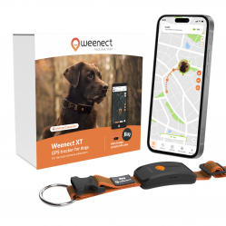 Weenect Dog XT Orange Collar - NEW GPS dog collar - Pet Supplies