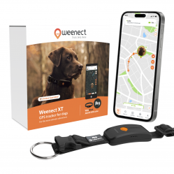 Weenect Dog XT Black Collar - NEW GPS dog collar - Pet Supplies