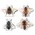 Kikkerland - Magnetic Bookmarks - Bee - Gadgets