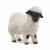 Schleich - Farm World - Blacknose sheep (13965) - Toys
