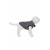 Peppy Buddy - Ultra light dog jacket XS, Grey 30 cm - Pet Supplies