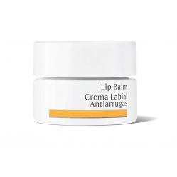 Dr Hauschka - Lip Balm